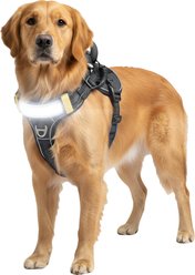 Lumi Pawtners Lumi One Dog Harness, Black, Large: 16 to 29-in chest