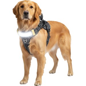 Carhartt Nylon Ripstop Reflective Service Dog Harness, High Risk Red/Carhartt Brown