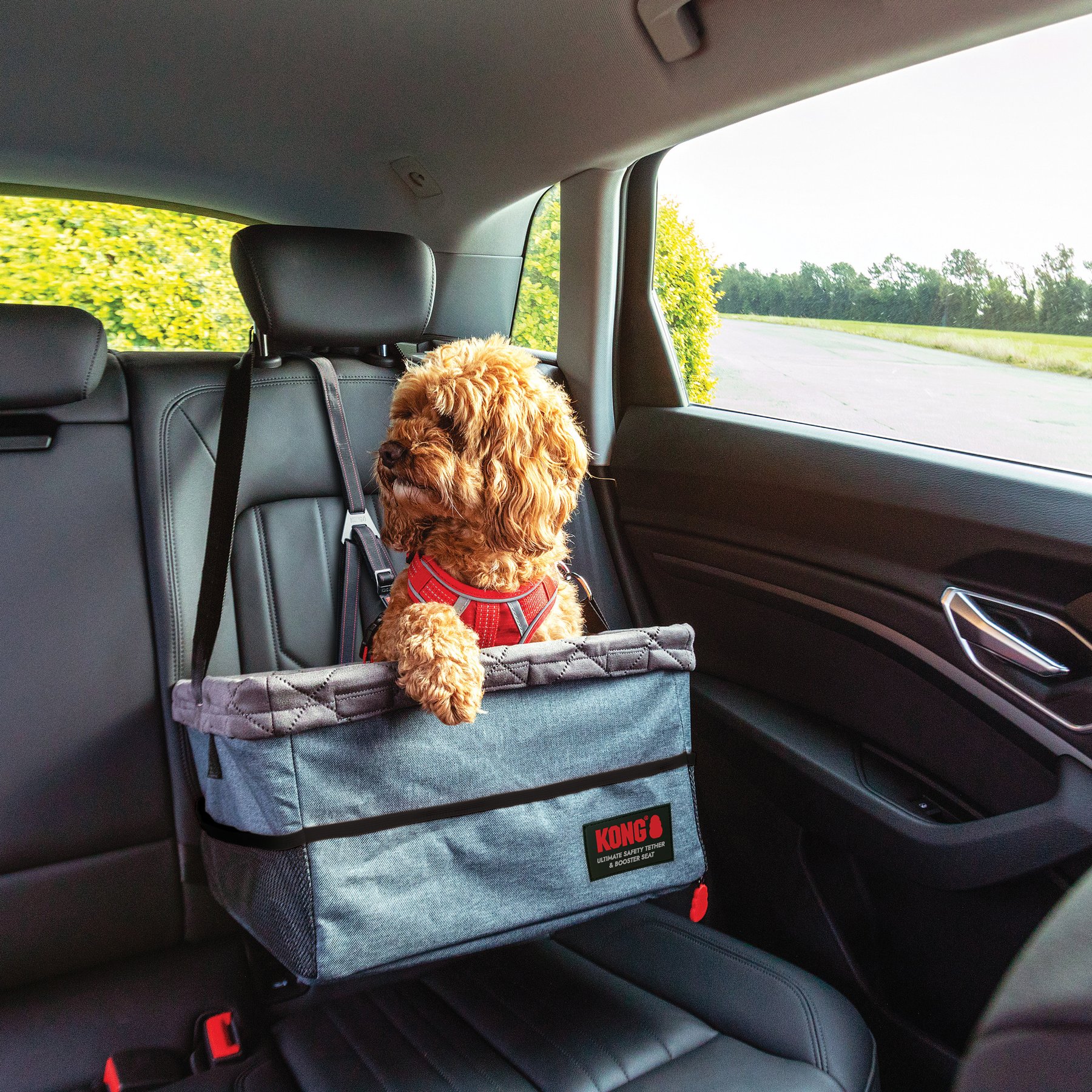 KONG Ultimate Dog Tether & Booster Seat