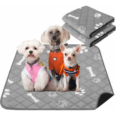 PatiencET PatiencET Super Absorbent Washable Dog Pee Pads, 24 x 36-in, 2 count