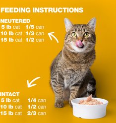 Natural Code Chicken Wet Cat Food, 3-oz can, case of 24 slide 2 of 8