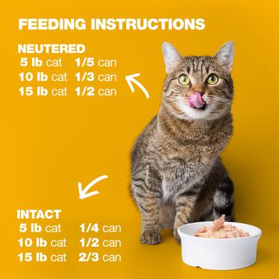 Show full view: Natural Code Chicken Wet Cat Food, 3-oz can, case of 24 slide 9 of 10