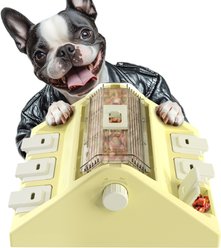 KADTC Beer Barrel 2 In 1 Puzzle Dog Toy, Yellow