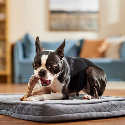 Show full view: Bones & Chews Made in USA Elk Antler Split Dog Chew, Small: 4.0 - 5.5-in slide 7 of 10