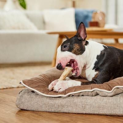 Show full view: Bones & Chews Made in USA Deer Antler Dog Chew, Small: 4 - 5.5-in slide 7 of 10