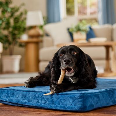 Show full view: Bones & Chews Made in USA Deer Antler Dog Chew, Medium: 6 - 7.5-in slide 7 of 10