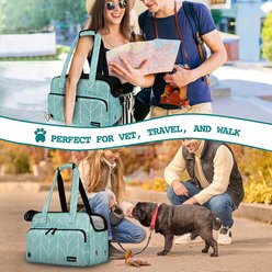 PetAmi Portable Soft-Sided Handbag Tote Airline Approved Purse Dog & Cat Carrier, Chevron Teal slide 2 of 7