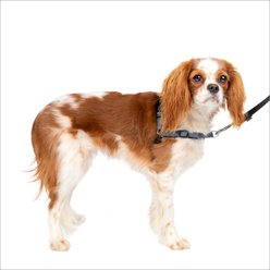 PetSafe Deluxe Easy Walk Nylon Reflective No Pull Dog Harness, Steel, Small: 15 to 21-in chest