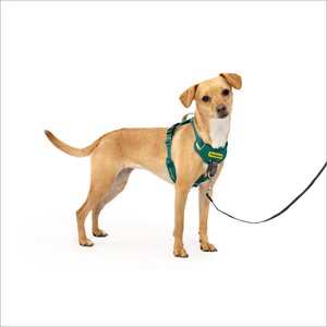 PetSafe Easy Walk Comfort Reflective No Pull Dog Harness, Green, X-Small: 13-19 inches