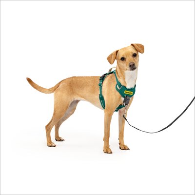 PetSafe PetSafe Easy Walk Comfort Reflective No Pull Dog Harness, Green, X-Small: 13 to 19-in chest