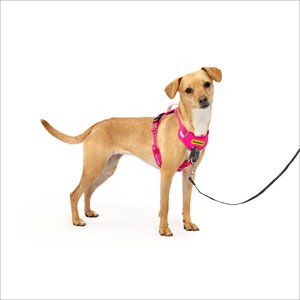 PetSafe Easy Walk Comfort Reflective No Pull Dog Harness, Pink, X-Small: 13-19 inches