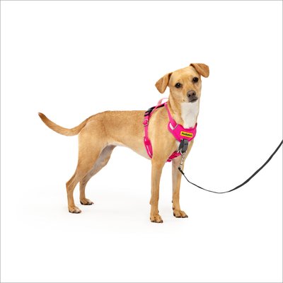 PetSafe PetSafe Easy Walk Comfort Reflective No Pull Dog Harness, Pink, X-Small: 13 to 19-in chest