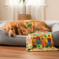 Scooby Doo Scooby Munchies Throw & Squeaky Pet Pillow Set Dog Plush Toy, Multicolor, 40 x 50-in slide 2 of 6