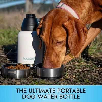 Show full view: Pet Vet Products HydroPet Stainless Steel Dog Water Bottle with Dual Dog Bowls, 32-fl oz slide 2 of 7