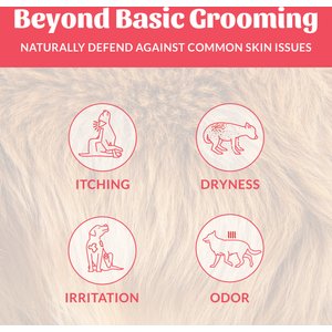 Skout's Honor Natural Sunkissed Coconut Scent Probiotic Dog & Cat Deodorizer Spray, 8-fl oz bottle