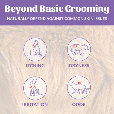 Show full view: Skout's Honor Probiotic Lavender Dog Deodorizer, 8-fl oz spray slide 5 of 12