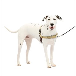 PetSafe Easy Walk Dog Harness, Fawn/Brown, Medium/Large slide 1 of 6