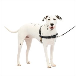 PetSafe Easy Walk Dog Harness, Black/Silver, Medium/Large slide 1 of 6