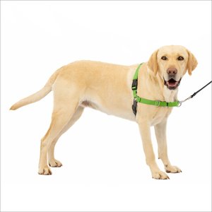 PetSafe Easy Walk Dog Harness, Apple Green, Large
