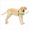 Show in main carousel: PetSafe Easy Walk Dog Harness, Apple Green, Large slide 1 of 10
