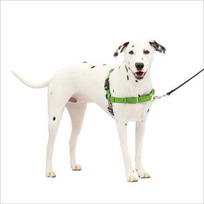 PetSafe PetSafe Easy Walk Dog Harness, Apple Green, Medium/Large