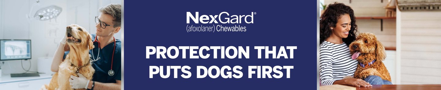 NexGard (afoxolaner) Chewables Protection that puts dogs first