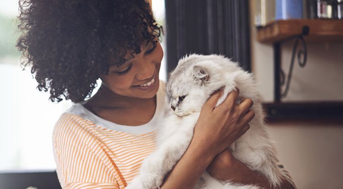 Revolution Plus Topical Solution for Cats, 5.6-11 lbs, (Orange Box)