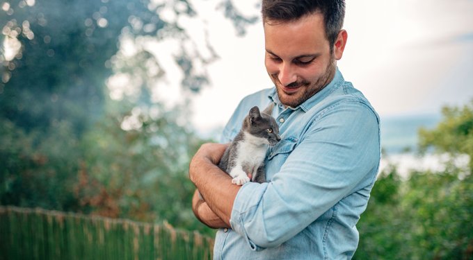 Revolution Plus Topical Solution for Cats, 5.6-11 lbs, (Orange Box)