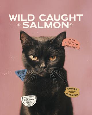 Show full view: Smart Cookie Barkery Salmon Grain-Free Freeze-Dried Cat Treats, 1-oz bag slide 5 of 9