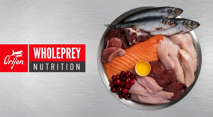 ORIJEN Original Grain-Free Dry Dog Food