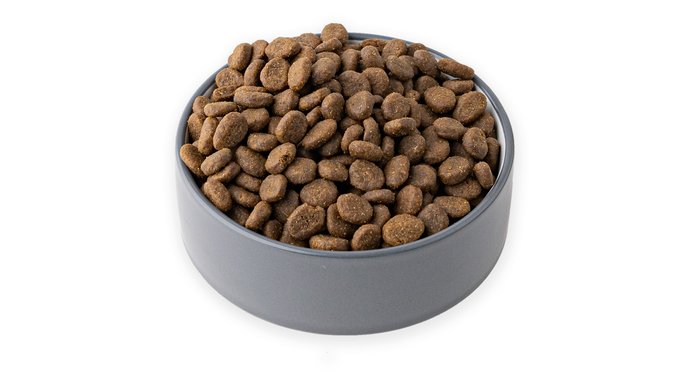 ORIJEN Original Grain-Free Dry Dog Food