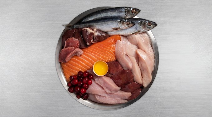 ORIJEN Original Grain-Free Dry Cat Food