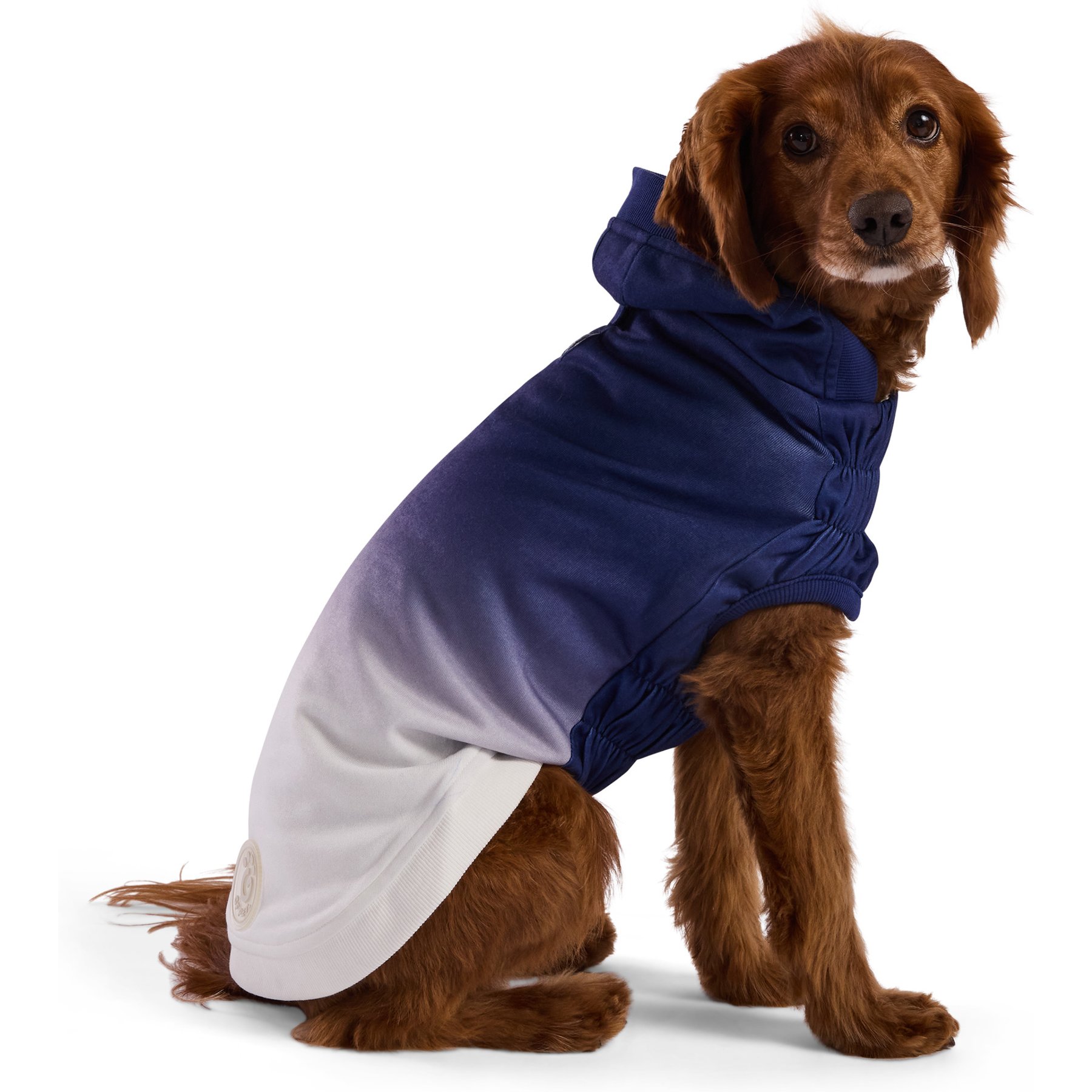 GF Pet Good Vibes Solid Dog Hoodie, Blue, XXXX-Large