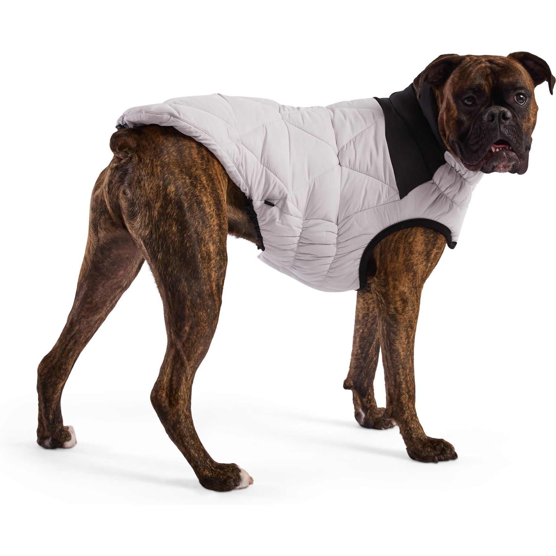 GF Pet Diamond Solid Dog Puffer, Grey, X-Large