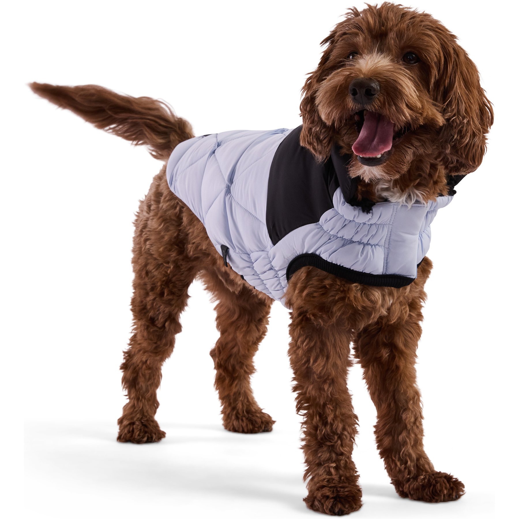 GF Pet Diamond Solid Dog Puffer, Blue, X-Small