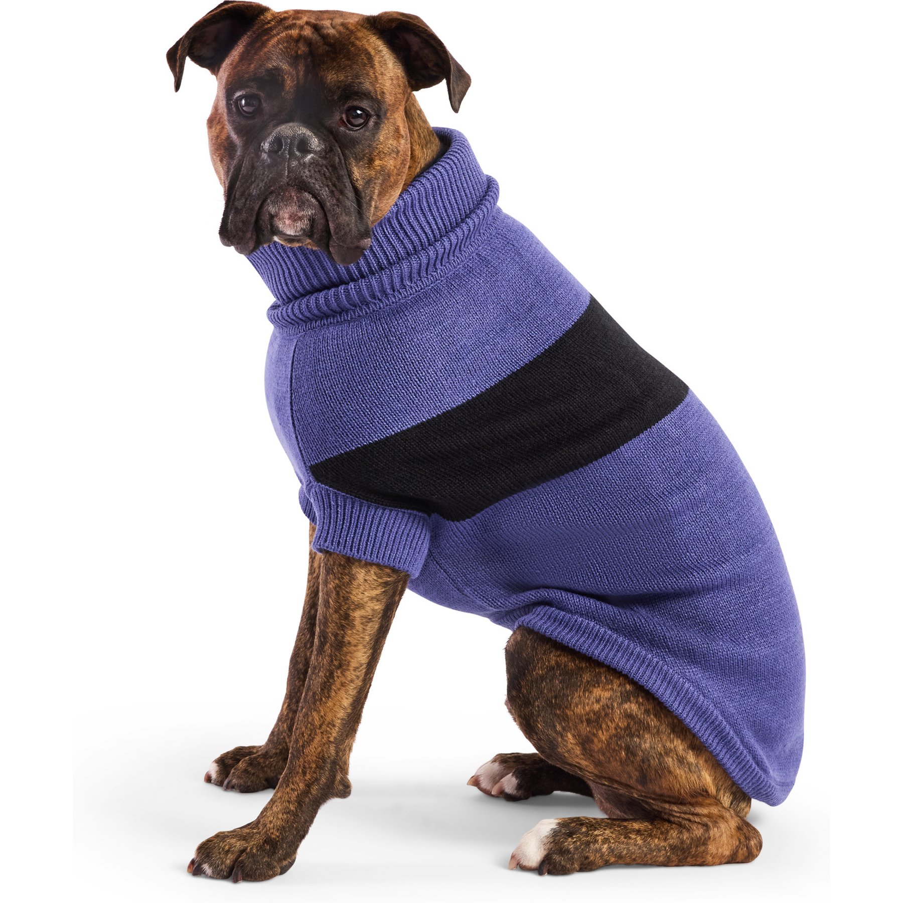 GF Pet Catalyst Solid Dog Sweater, Blue, X-Large