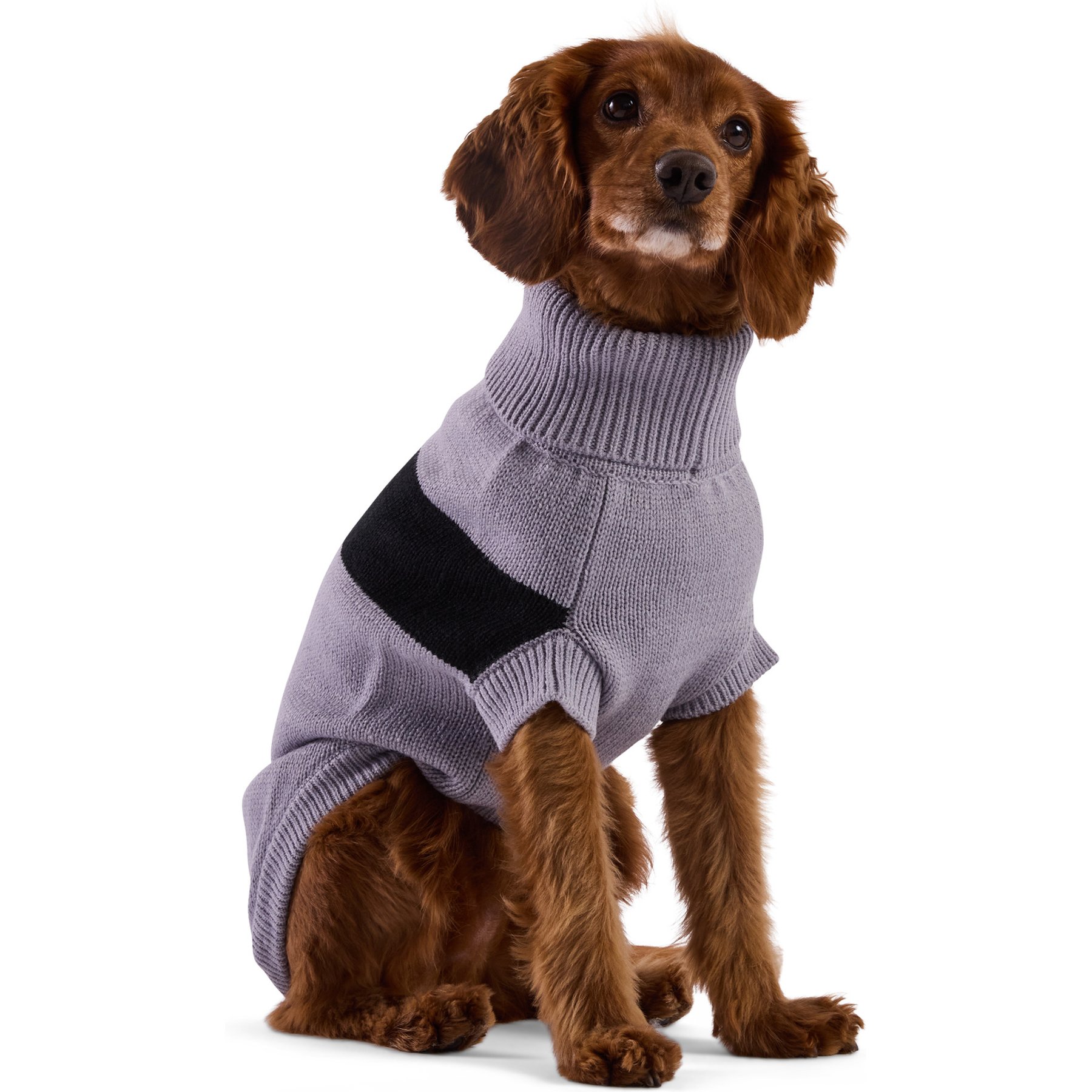 GF Pet Catalyst Solid Dog Sweater, Grey, Large