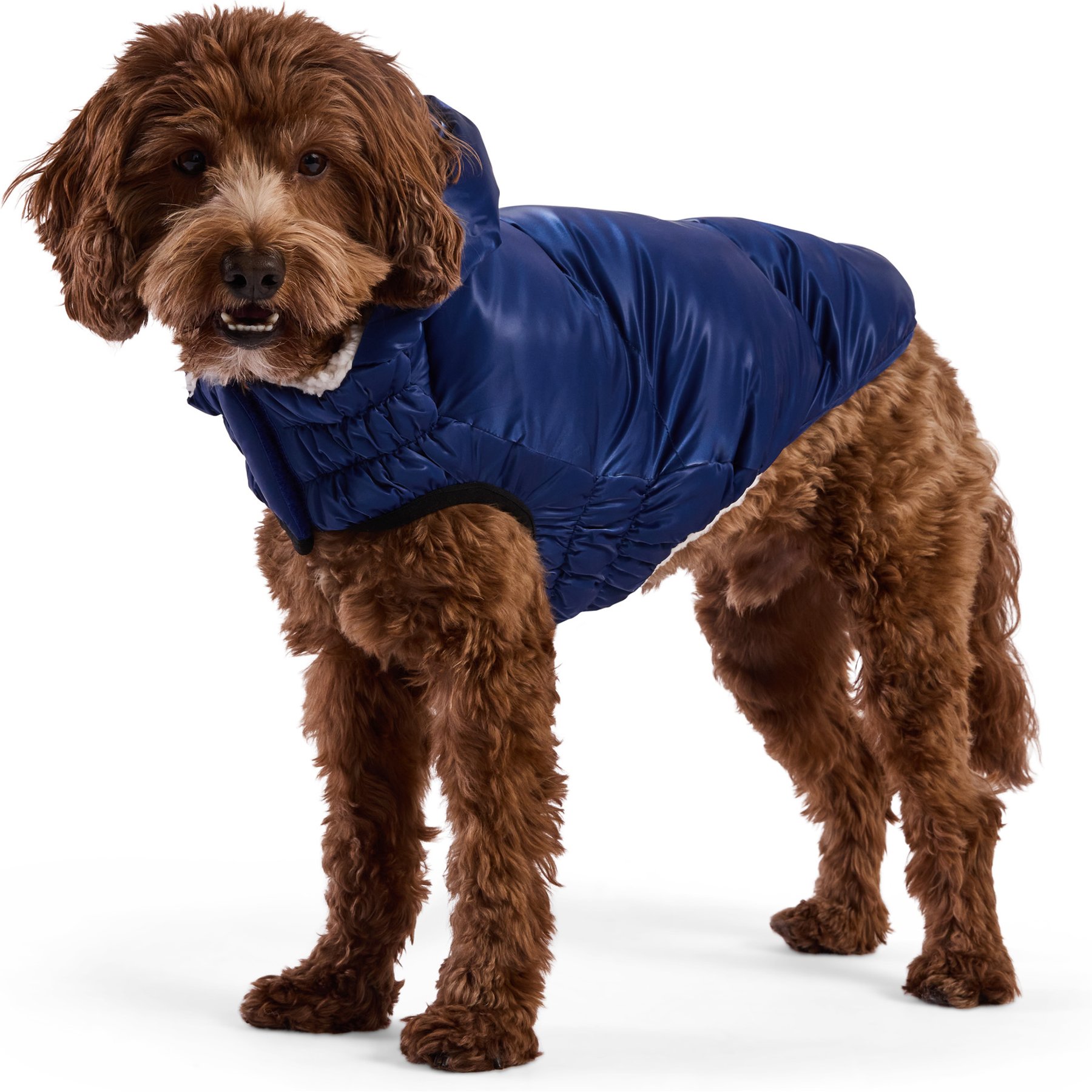 GF Pet Lunar Glow Solid Dog Parka, Blue, X-Small