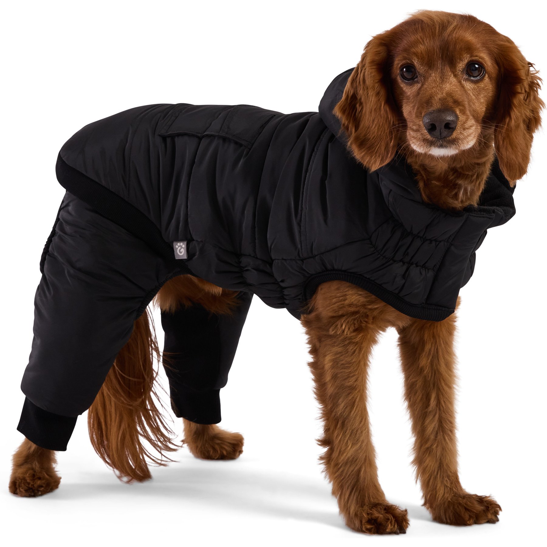 GF Pet Odyssey Dog Snowsuit, Black, X-Large