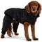 Show in main carousel: GF Pet Odyssey Dog Snowsuit, Black, Medium slide 1 of 7