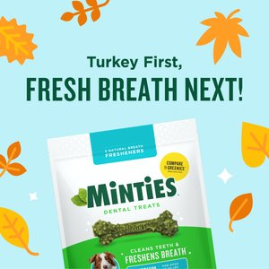 Minties Medium Mint Flavored Dental Treats for Dogs, 25-50 lbs, 32-oz, 40 count