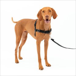 PetSafe Easy Walk Dog Harness, Charcoal, Medium: Medium: 21 to 32-in girth