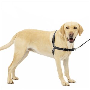 PetSafe Easy Walk Dog Harness, Charcoal, Large: 27 to 40-in chest