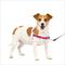 Show in main carousel: PetSafe Easy Walk Dog Harness, Raspberry/Gray, Small slide 1 of 11