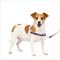 Show in main carousel: PetSafe Easy Walk Dog Harness, Purple/Black, Small slide 1 of 11