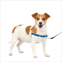 PetSafe Easy Walk Dog Harness, Royal Blue/Navy, Small