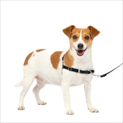 PetSafe Easy Walk Dog Harness, Black/Tan, Small
