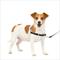 Show in main carousel: PetSafe Easy Walk Dog Harness, Black/Silver, Small slide 1 of 10