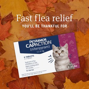 PetArmor CapAction Flea Tablets for Cats, 6 Tablets