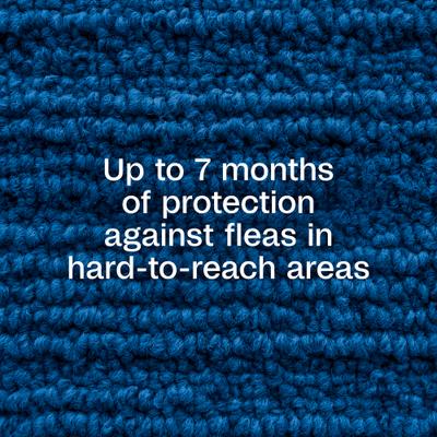 Show full view: Adams Plus Flea Control Indoor Fogger, 9-oz slide 3 of 11